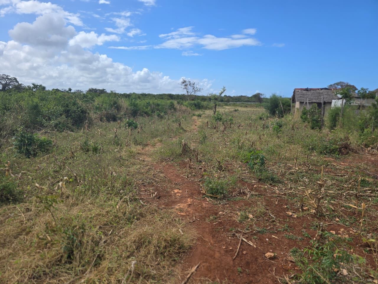 1 acre prime land in Vipingo, Kilifi for sale, photo 3