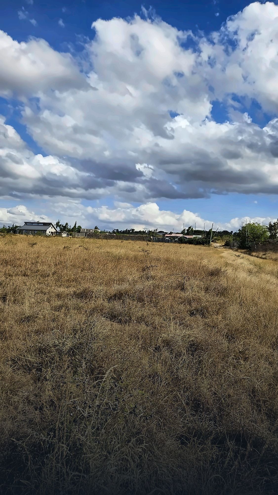 4 plots together in Malaa, KBC, Machakos for sale, photo 2
