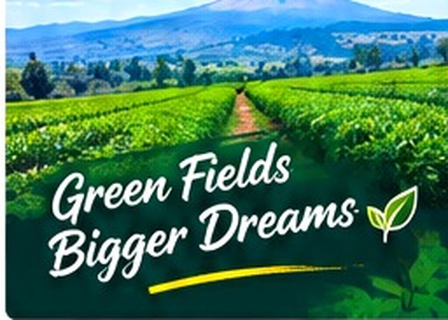 6.5 acre tea farm for sale in Othaya, Nyeri, photo 5